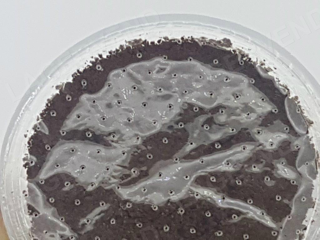 KAPSULE